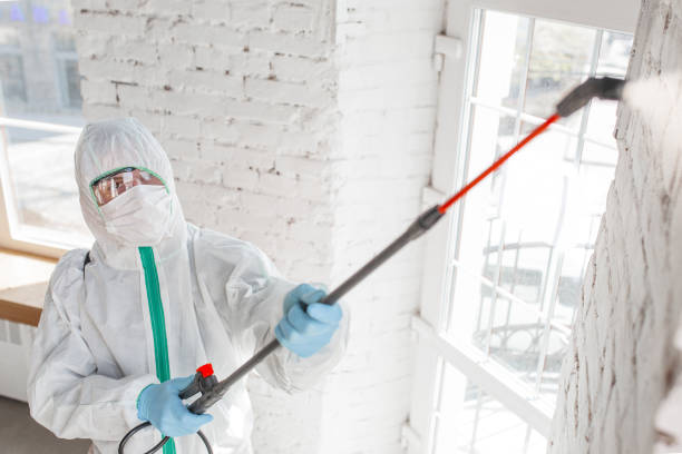 Best Airborne Mold Testing  in Cape Coral, FL