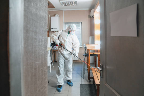 Mold Remediation for Vacation Homes in Cape Coral, FL