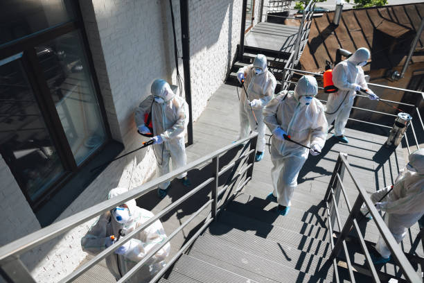 Best Mold Odor Removal Services  in Cape Coral, FL
