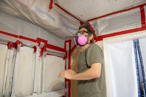 Best Mold Remediation for Vacation Homes  in Cape Coral, FL