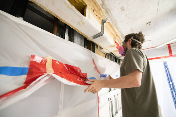 Best Black Mold Removal  in Cape Coral, FL