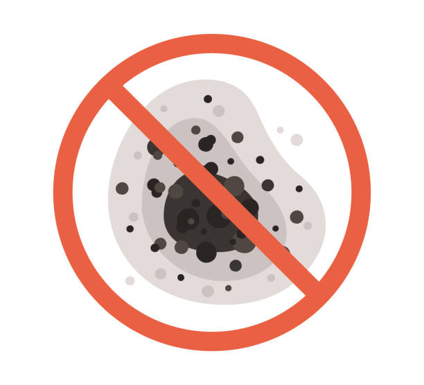 Best Mold Prevention Services  in Cape Coral, FL