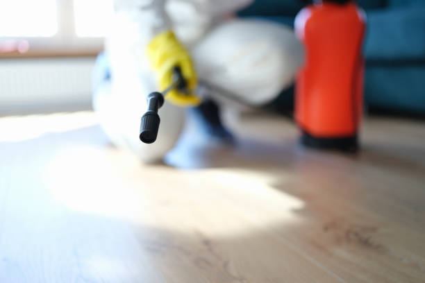 Best Biohazard Mold Removal  in Cape Coral, FL