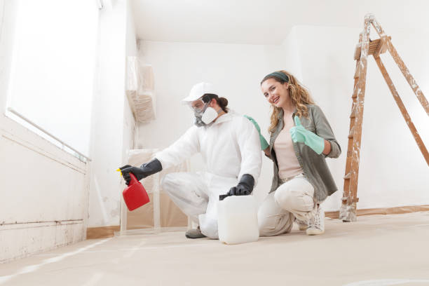 Mold Removal for HVAC Installations in Cape Coral, FL
