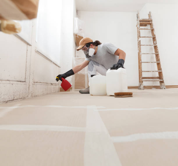 Best Attic Mold Removal  in Cape Coral, FL