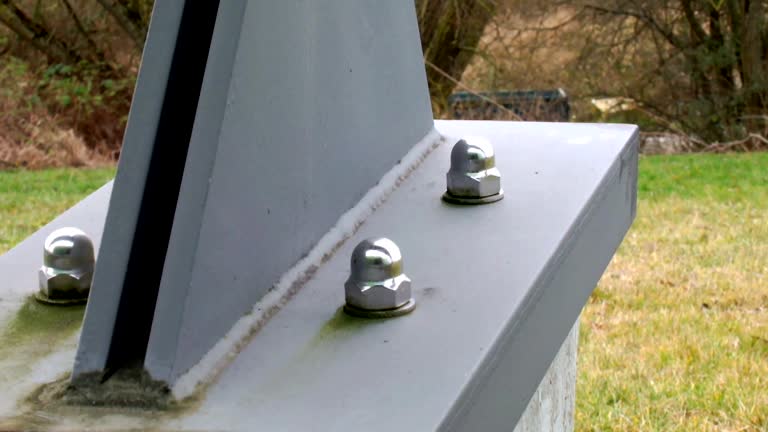Best Forensic Mold Investigation  in Cape Coral, FL